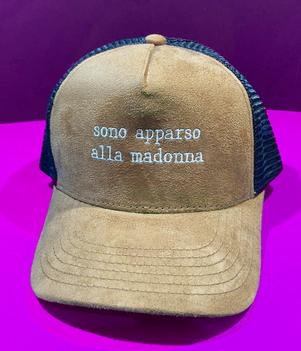"SONO APPARSO ALLA MADONNA"