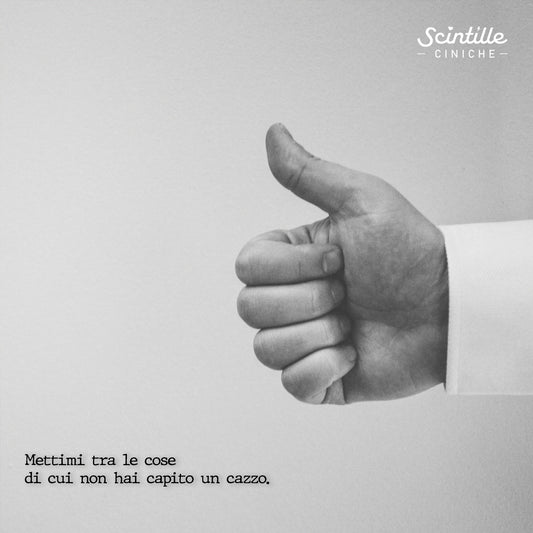 “HAI CAPITO UN CA**O”