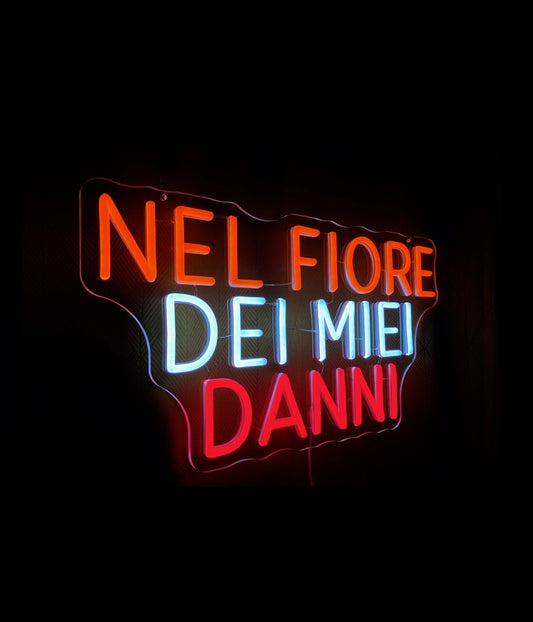 NEL FIORE DEI MIEI DANNI