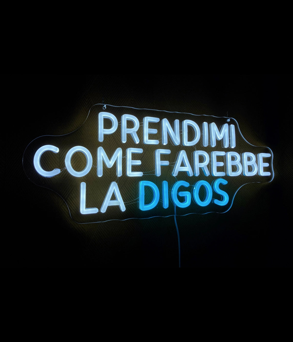 PRENDIMI COME FAREBBE LA DIGOS